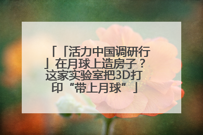 「活力中国调研行」在月球上造房子？这家实验室把3D打印“带上月球”